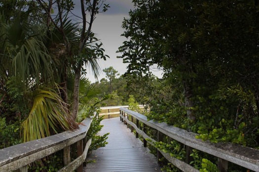 full - Wooden Bridge - flickr3894093626hd.jpg