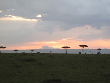 print a poster - Trees Horizon Sunset Landscape - IMG3429JPG.jpg