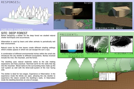 poster print 24 x 36 - Site Deep Forest Pictures - 24x16.jpg