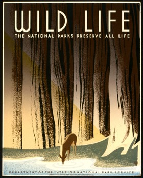 posterbrain - Wildlife Images - wildlife2.tif