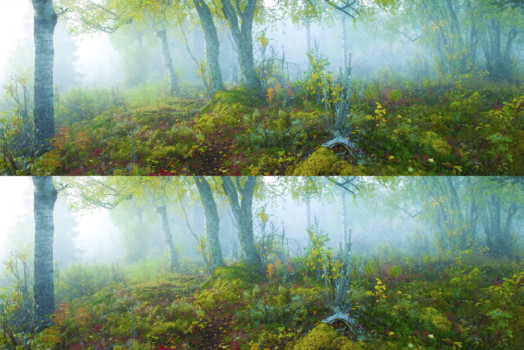 priority - Forest Trees Photo - 47_6278_36x12_Double_1.jpg