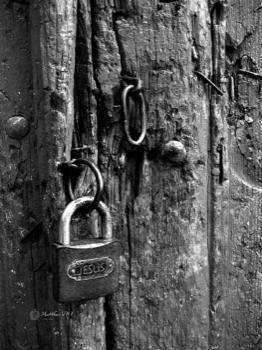 posterbrain -  - MatthewVII7fsevenapplesBW.jpg