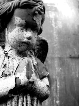 posterbrain -  - RomansXII12sevenapplesBW.jpg