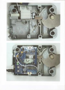 posterbrain -  - scan0001_Small_1.jpg