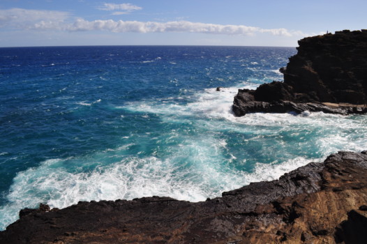 postwerbrqin - Sea - oahu_348.jpg