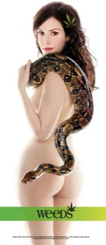 customized posters - Anne Hathaway - marylouisesnake.jpg