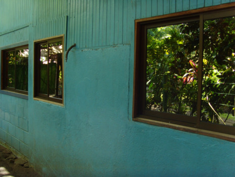 large - Framed Pictures - Blue_Jungle_House_2.jpg