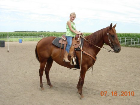 print a poster - Brown Horse - lauren_on_horse.jpg