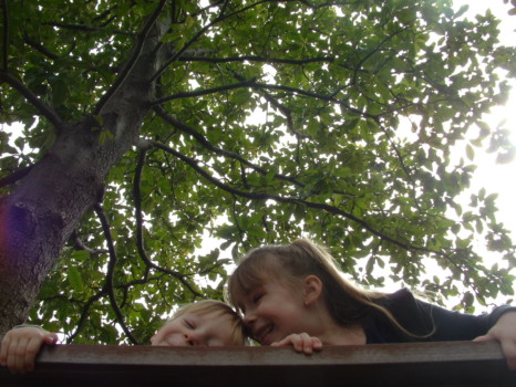 photo enlargements poster size - Children Under Trees - DSCF0314_1.jpg