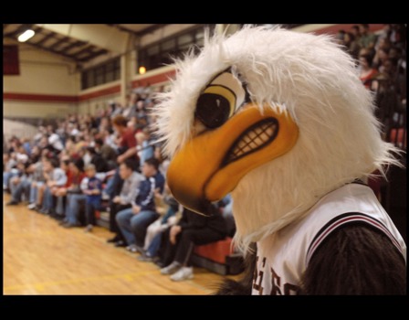 posterbrain - Eagle Costume Mascot Gym - CrimsonEagleCrowd3.jpg