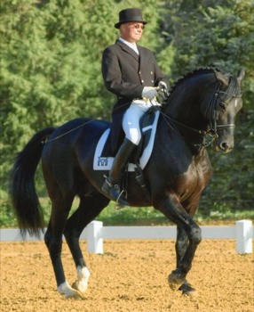 custom - Horse - MWhirescrop.jpg