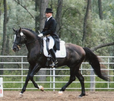 custom - Horse - LKhires.jpg