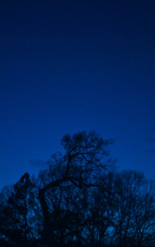 picture into poster - Sky - Reaching.jpg