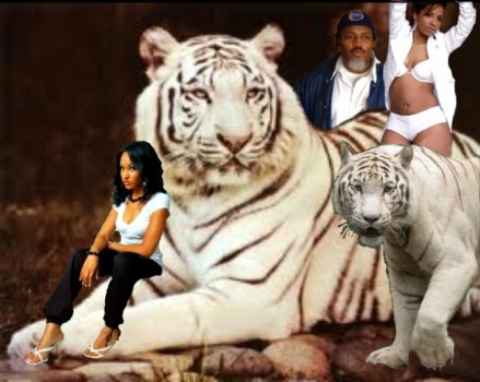 POSTER BRAIN - Tiger With People Photo - theClifsterPosterJ.jpg