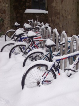 posters of photos - Bicycles - 100_1615.jpg