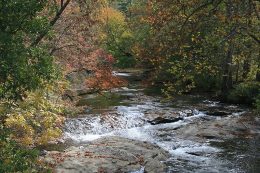 full size posters - Creek - IMG_3323.jpg