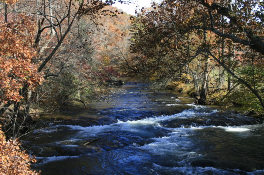 full size posters - River - IMG_4243.jpg