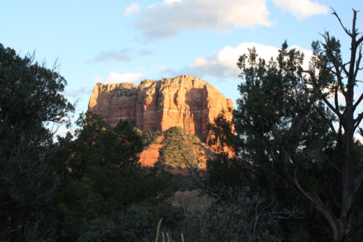 poster brain - Rock Mountain - IMG_2815.jpg