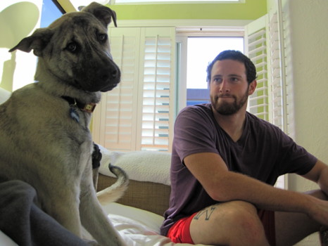 pictures to posters - Dog - IMG_2358.jpg