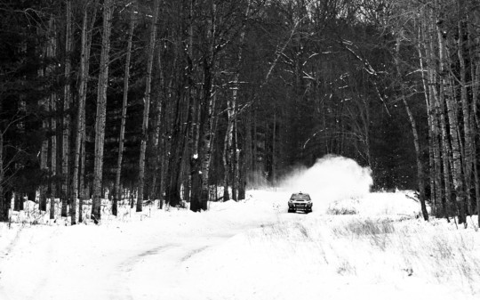 poster - Car - trees_for_dom_1.jpg
