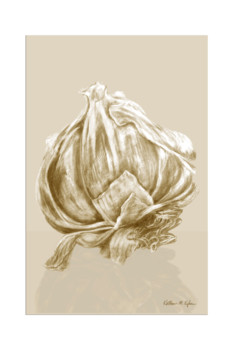 posterbrain - Garlic Drawing - Garlic_flat_LIGHT_150.jpg