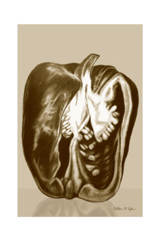 posterbrain - Bell Pepper Drawing - Pepper_flat_150_1.jpg