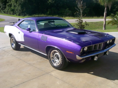 print a poster - Car - cuda_and_vette_7_mg_001.jpg