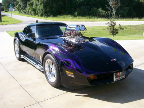 print a poster - Car - cuda_and_vette_7_mg_005.jpg