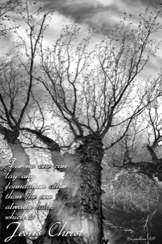 print - Jesus Christ Trees - TreeScripture.jpg