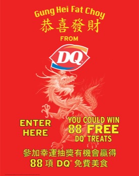 print a poster -  - 2011DQsnaplockPoster.pdf
