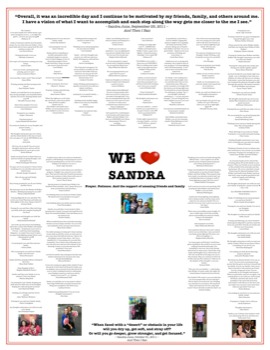 poster -  - sandyposter.pdf