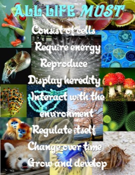 print a poster - All Life Must Consist Of Cells - PosterLife.jpg