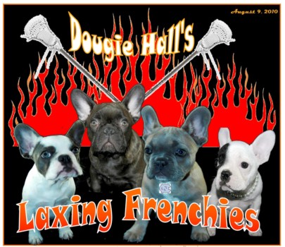 upload picture to make glossy poster - Dougie Hall's Laxing Frenchies - dougie.jpg