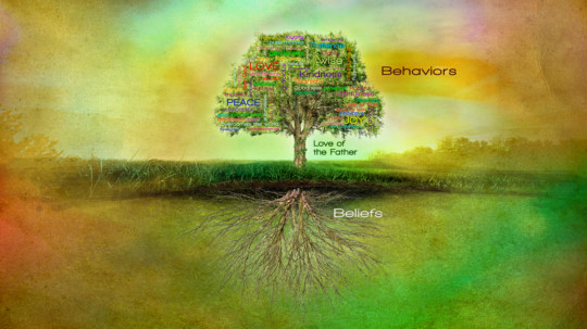 poster printing - Tree Roots Behaviors Beliefs - HE_Tree_still.tif