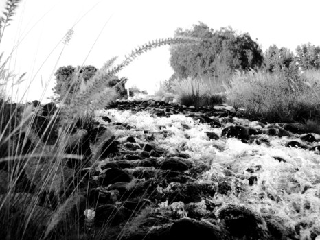 print a poster - Grass - BW_Rock_Water_1.jpg