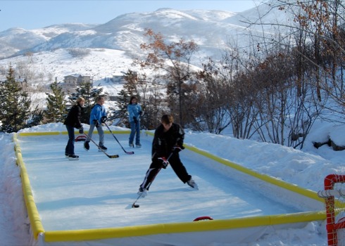 posterbrain - Ice Hockey - ErinBonk_1268441105_2.jpg