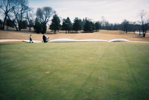 posterbrain - Green Grass - Wayzata_MN__2.jpg