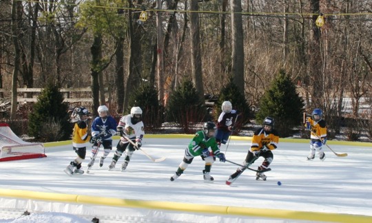 posterbrain - Ice Hockey - StephenGallagher_1296924714_3.jpg