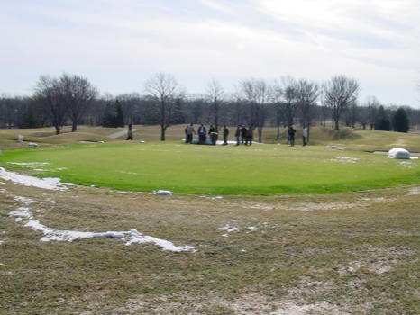 posterbrain - Meadow - Hazeltine_GC_MN032.jpg