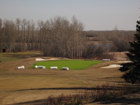 posterbrain - Green Grass - Glendale_CC_-Canada_1.JPG.jpg