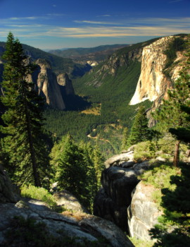 print a poster -  - Pohono_Trail06_October_2010.jpg