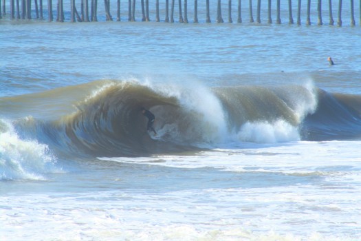 posterbrain - Surfing - 121.jpg