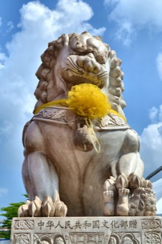 print a poster -  - lion.jpg