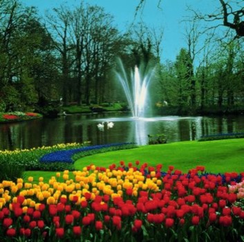 posterbrain - Flowers - #6.jpg