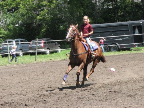 poster size photos - Horse - lyon_co_fun_show_10_091.jpg