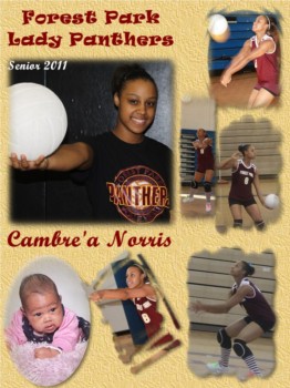 print a poster - Forest Park Lady Panthers Cambre'a Norris - Page5.jpg