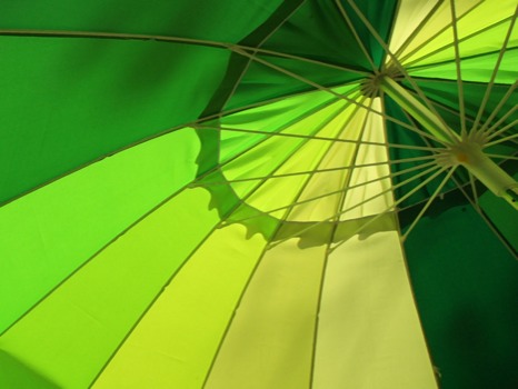 posterbrain - Umbrella - umbrella_grn1_24x32.tif