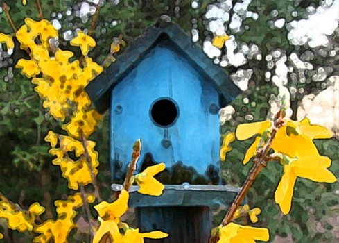 posterbrain - Bird House - bluebird_house2d.jpg