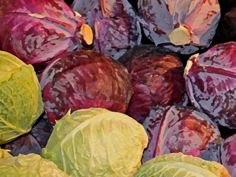 posterbrain - Cabbages - cabbages18x24.tif
