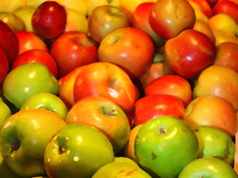 posterbrain - Apple Fruits - apples_24x32.tif